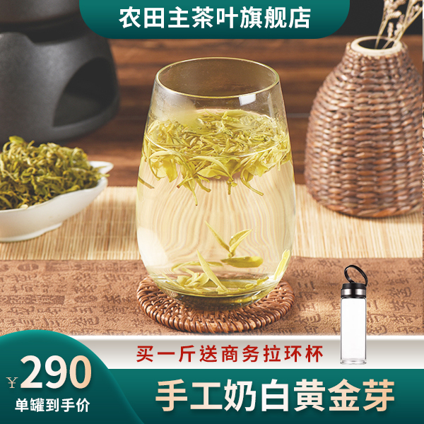 2023年手工奶白黄金芽 AN568 高山绿茶浓香耐泡茶汤清亮250g/500g
