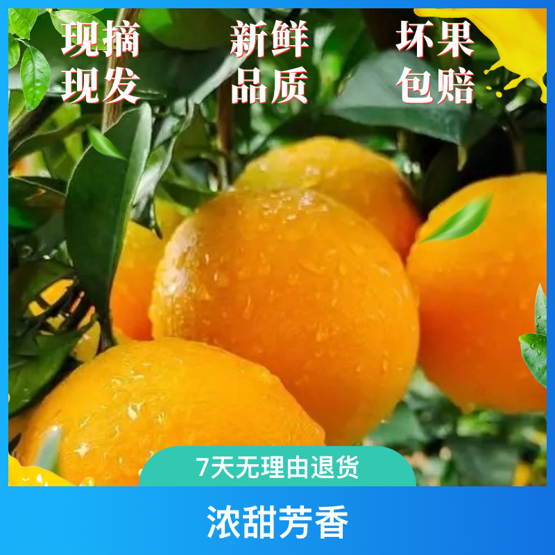 江西赣南脐橙新鲜现摘甜橙应季水果香甜多汁5/10斤装【产地直发】
