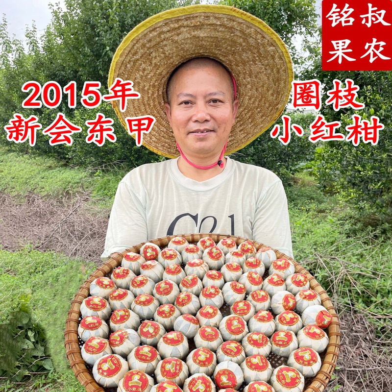 2015年新会东甲圈枝小红柑（宫廷普洱熟茶+八年东甲圈枝柑）