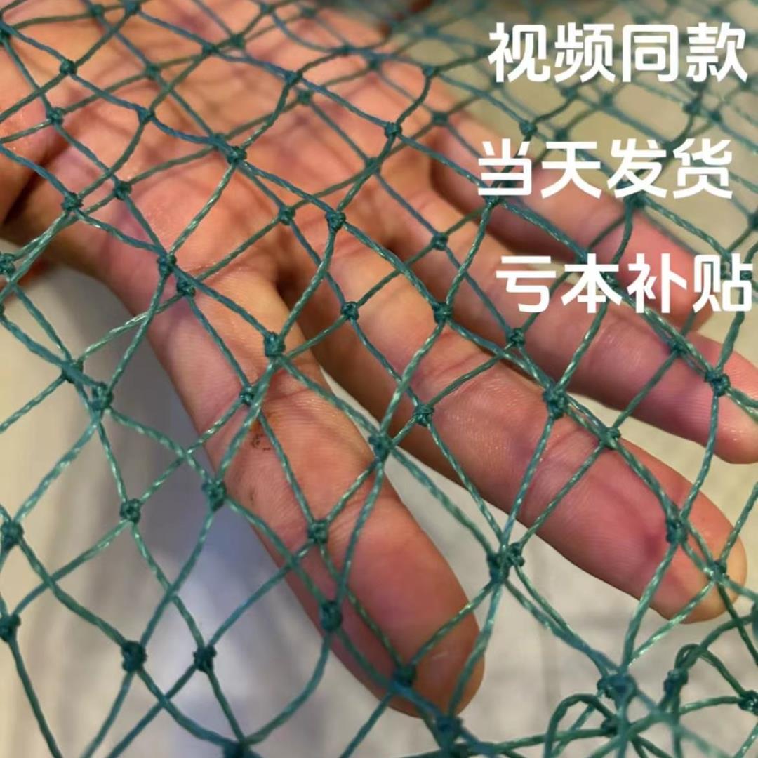 养殖场家用家禽神器专用拍网轮胎线网全自动拍合抓鸡镀锌抄渔网抓