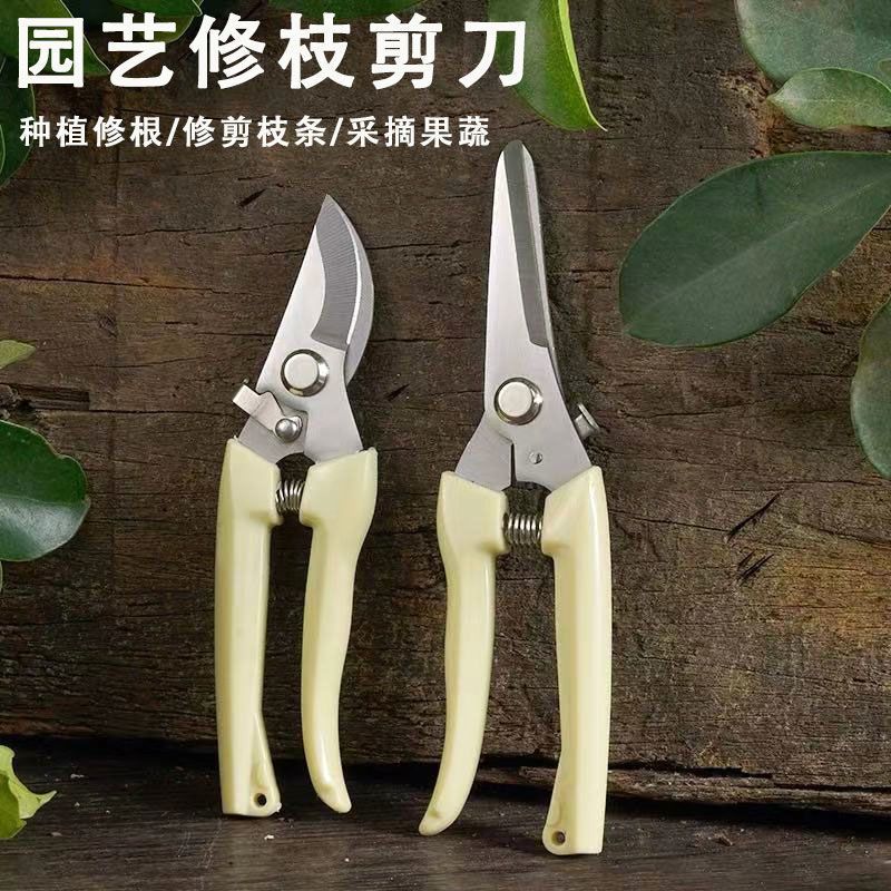 剪刀奶白色不锈钢修枝园艺摘果剪花艺剪刀插花工具家用剪园林剪刀