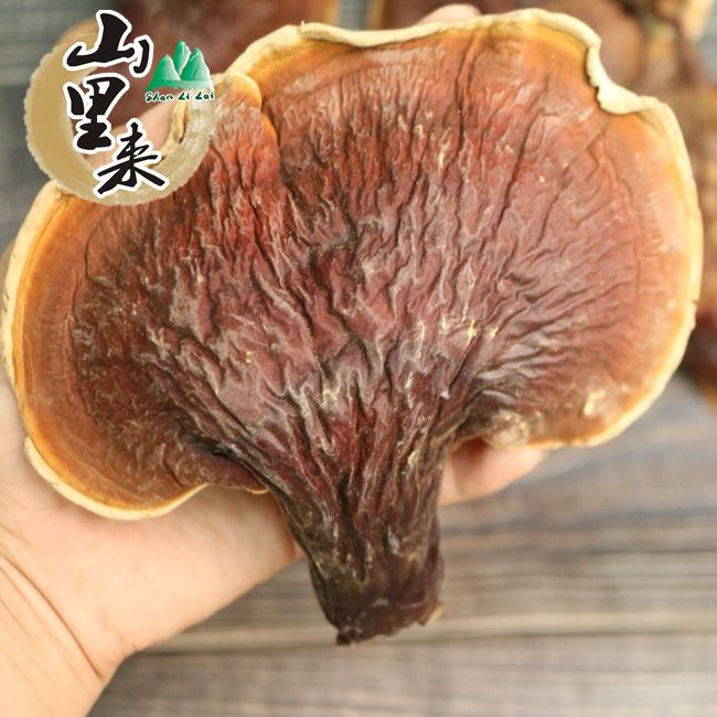 云南高原山货，白，肉，之，菌煮水农产品250g