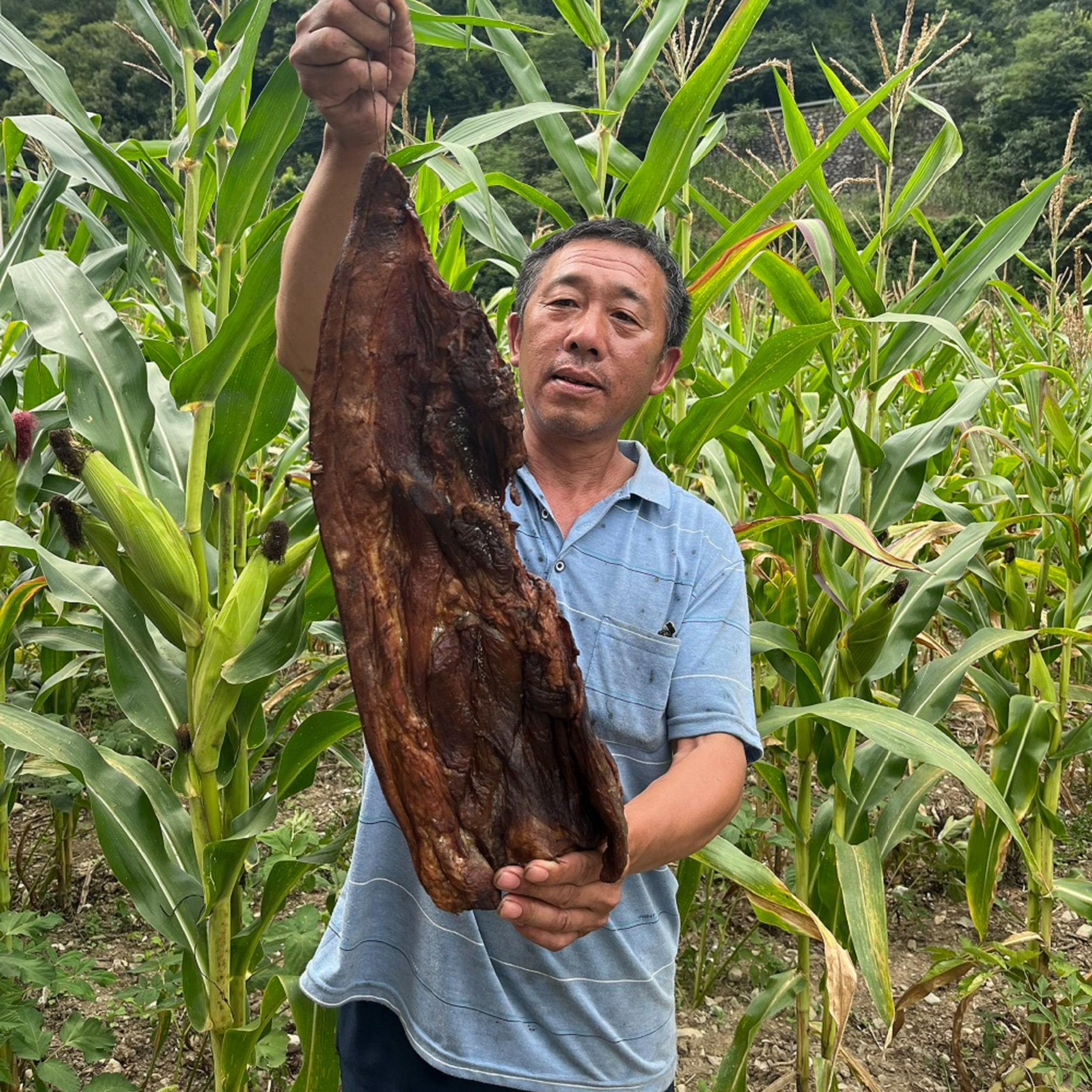 城口老腊肉高山粮食土猪老腊肉二刀肉现选现称一斤起