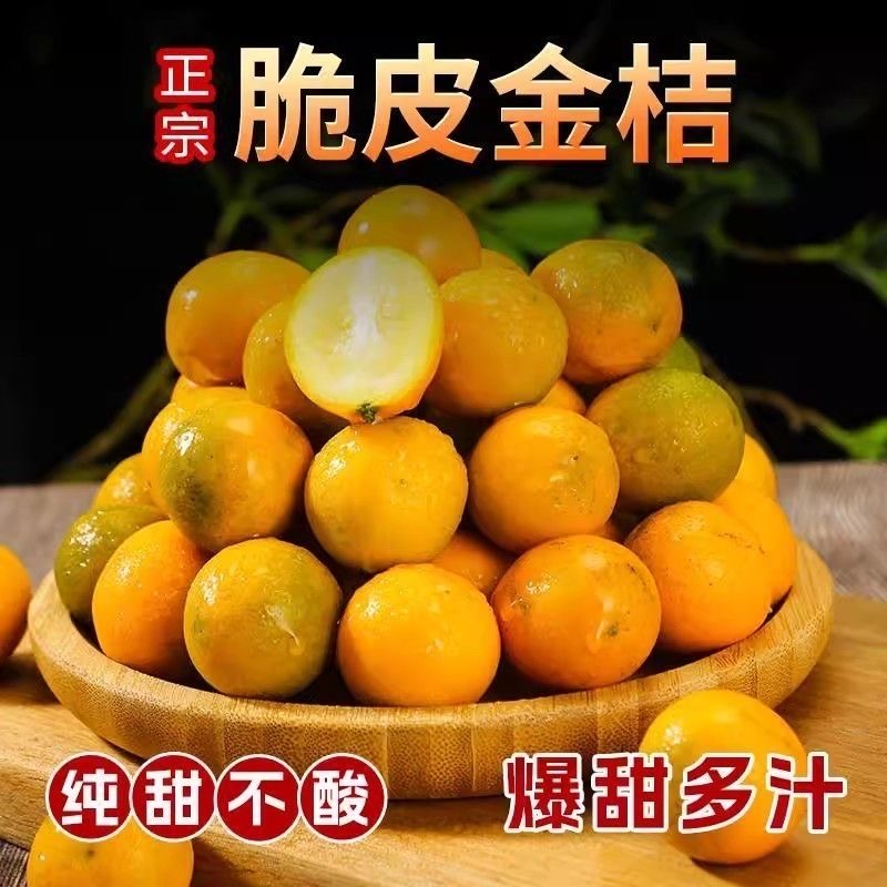 广西水果金桔1/3斤5斤脆皮纯甜无酸香甜新鲜采摘果园直发坏果包赔