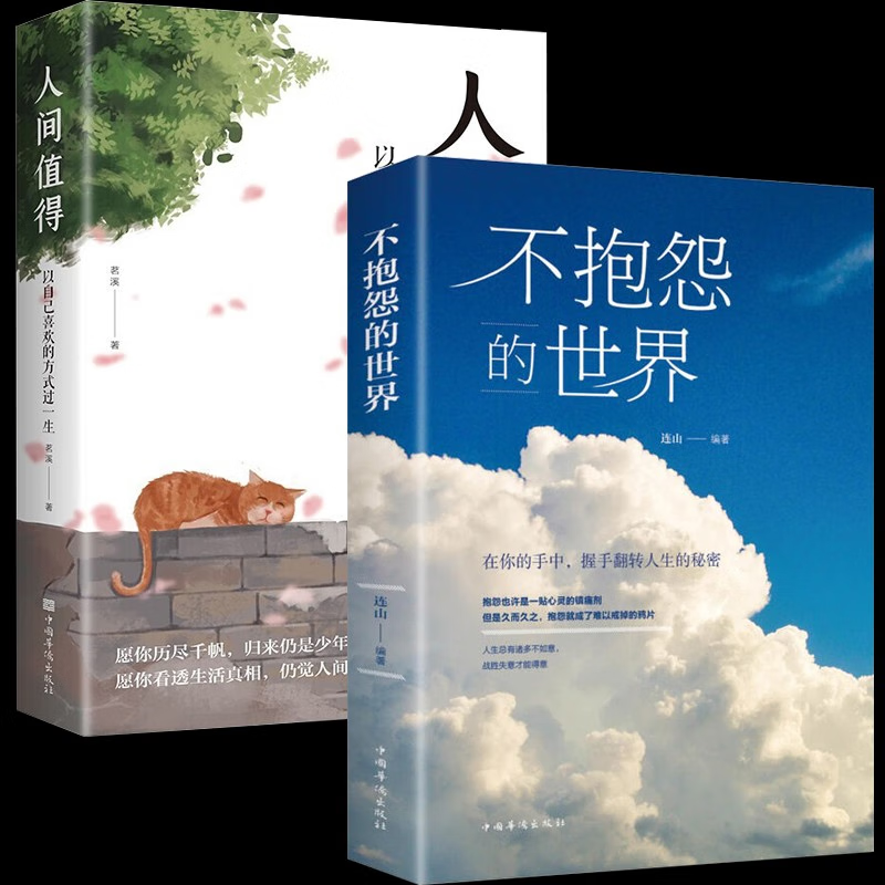正版推荐不抱怨的世界正版人间值得正能量青春文学成功励志自我董