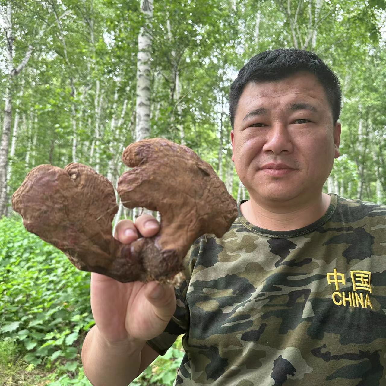 深山山灵菇干品100g/165g
