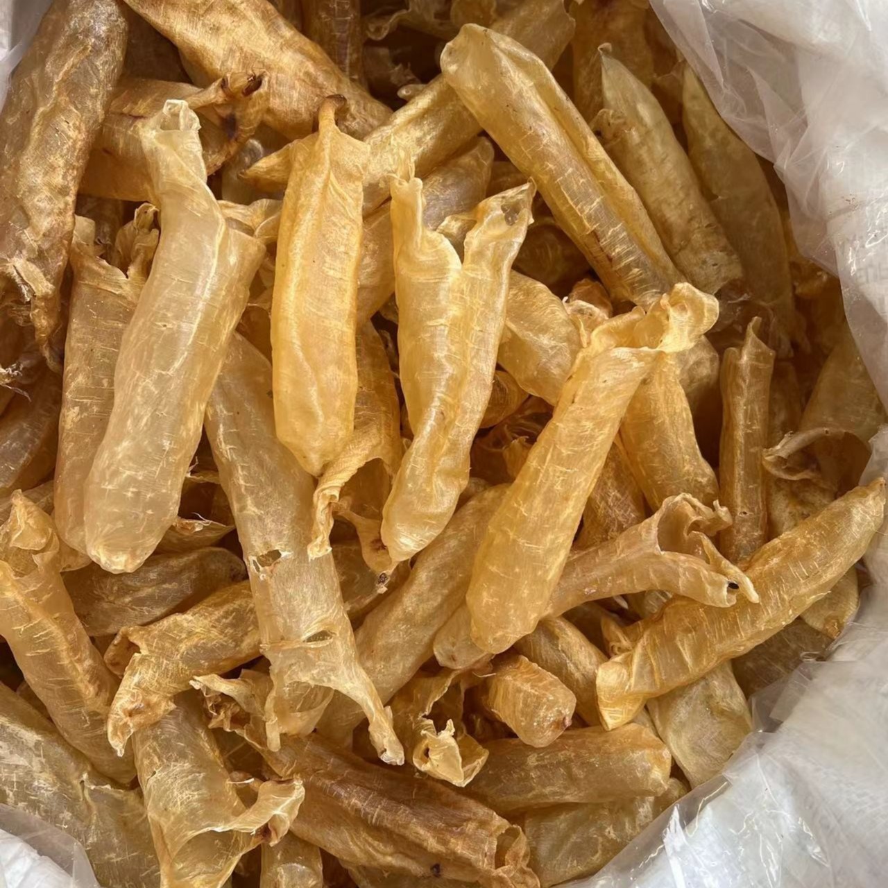 野生黄花胶筒250g-500g