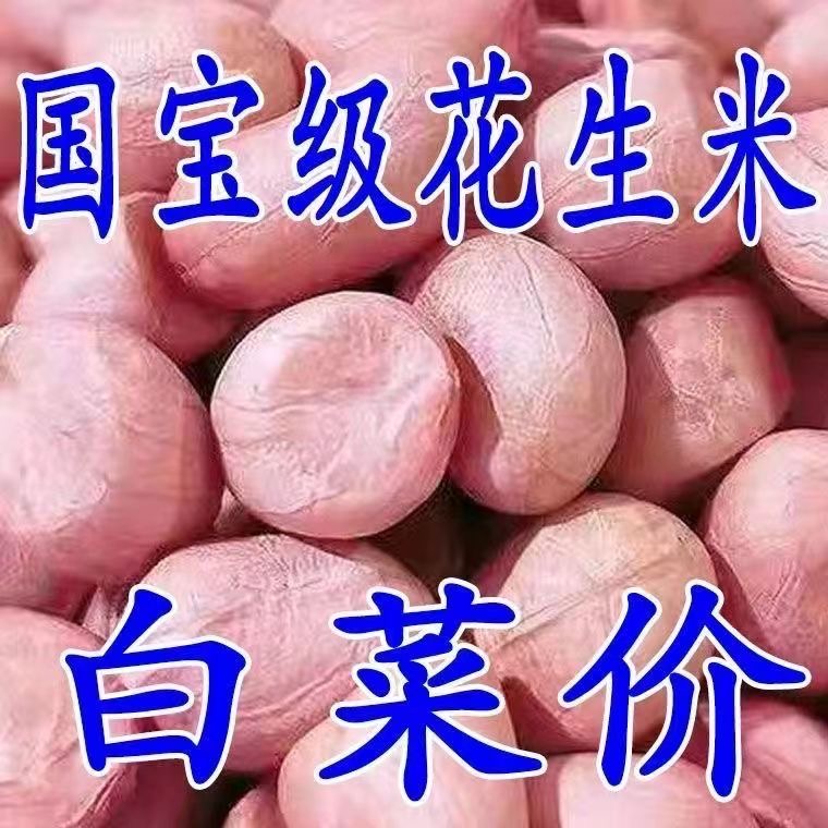 2023年当季新鲜无壳花生米养胃精选白沙新花生批发清仓小白沙食用