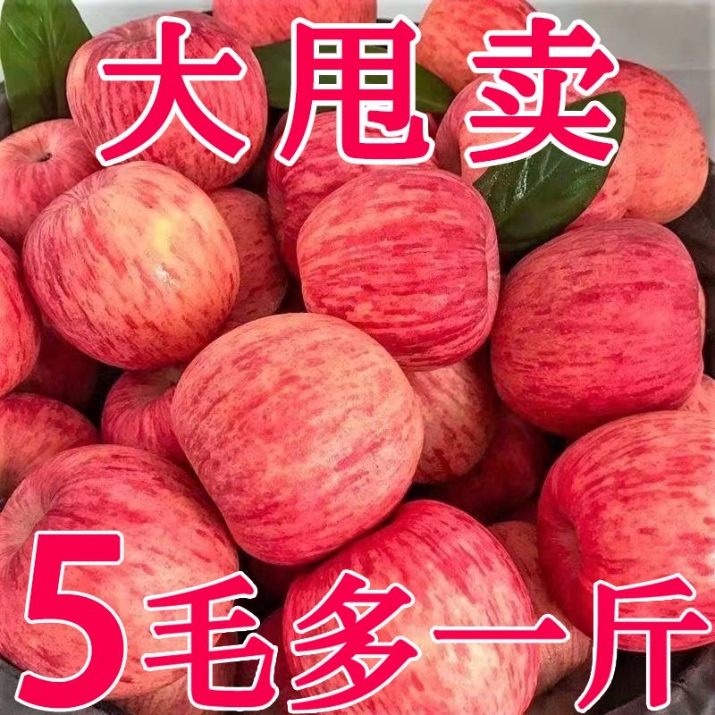 【现摘现发】正宗红富士苹果1/10斤头茬脆甜冰糖心当季新鲜个大年货
