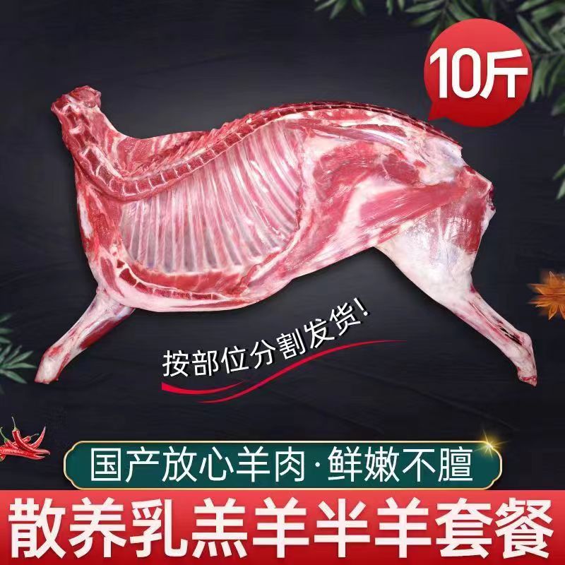 【半只羊10斤】新鲜散养羔羊肉草原羊排羊腿羊蝎子生鲜火锅烧烤年货