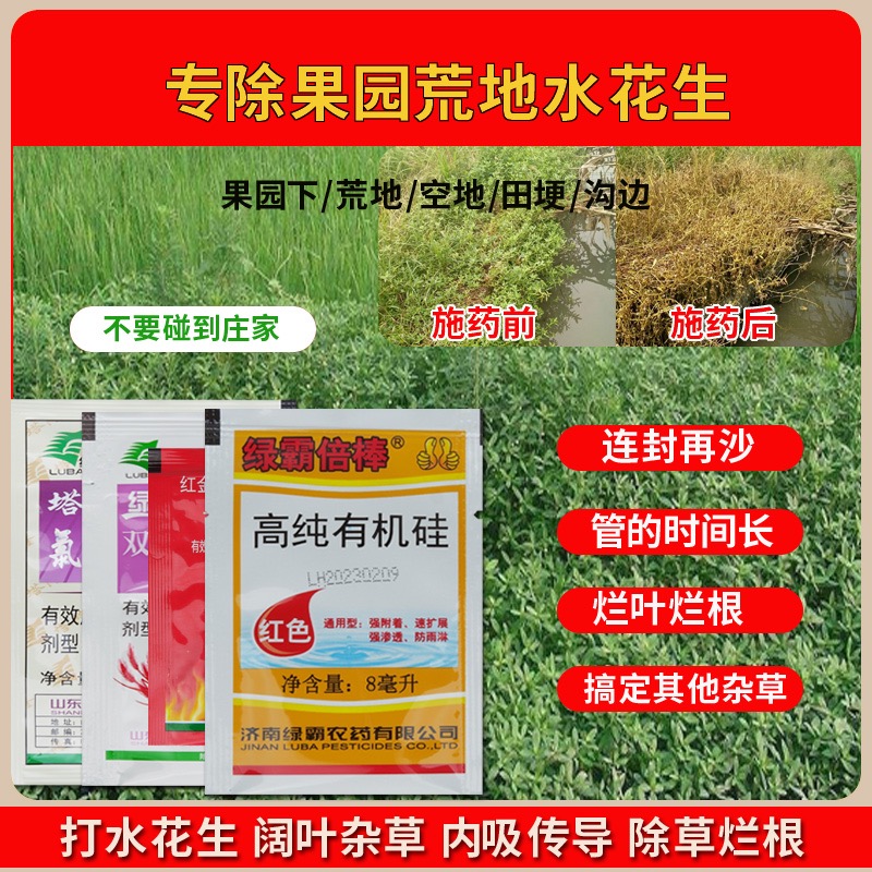 （倍茂）荒地空地水花生加入绿霸倍棒有机硅助剂一组兑水30斤喷施