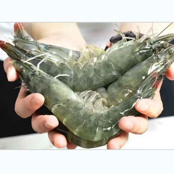 新鲜海明虾2030规格食用鲜活速冻四斤/盒冷冻发货