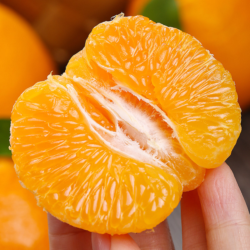 【遇见美物】四川春见耙耙柑 4.5斤装