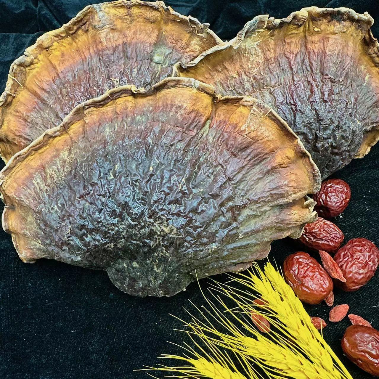 【锐贤甄选】长白山野生芝芝丶煲汤煮菜干货滋补品