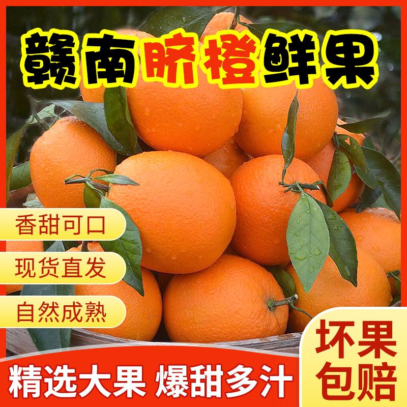赣南脐橙鲜果精选特大果鲜嫩多汁美味香江西赣州新鲜水果果园橙子