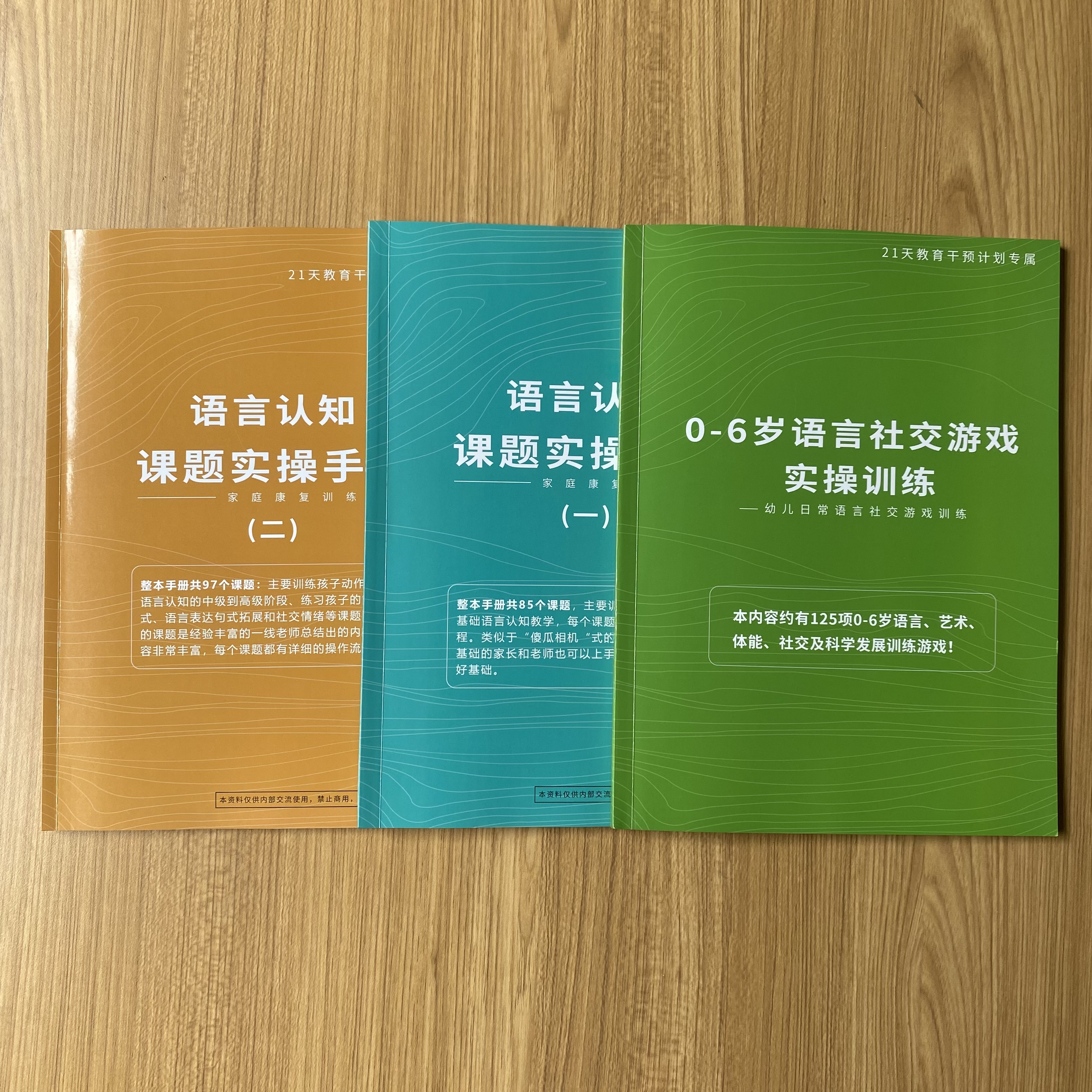 儿童语言社交课题实操手册 / 0-6岁语言社交游戏实操家庭干预教具