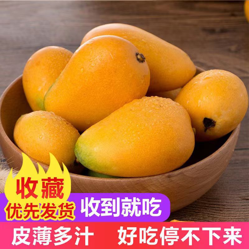 【现摘】海南小台农台农芒大果皮薄多汁当季热带新鲜水果整箱包邮