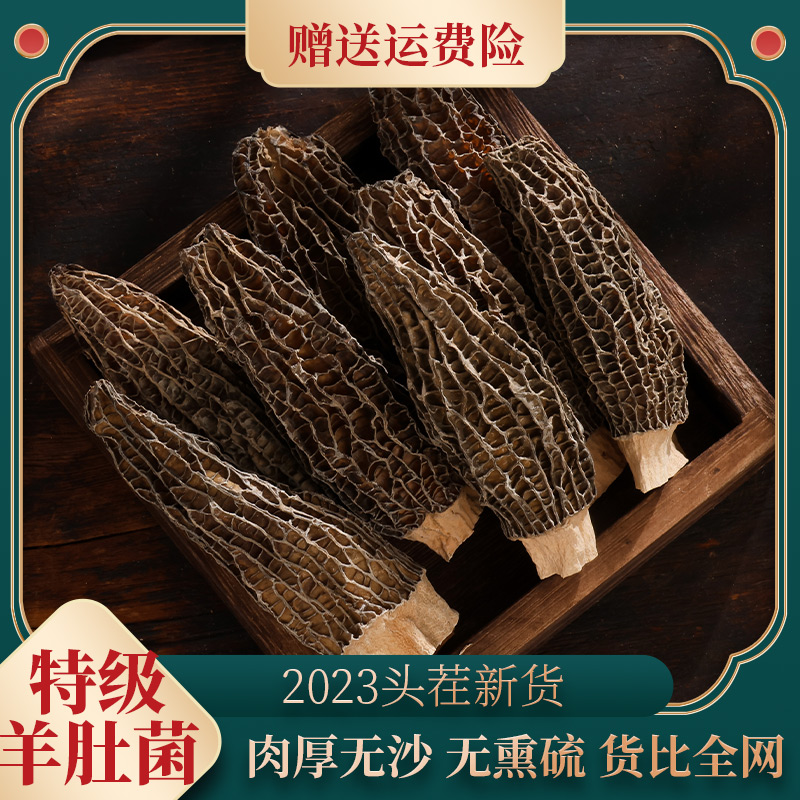 山林小燕子川西高原林下头茬羊肚菌高端滋补