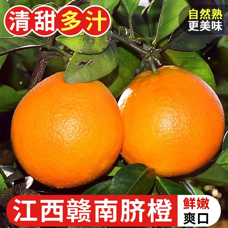 正宗赣南脐橙江西赣州原产地现摘直发新鲜阳光水果细腻薄皮橙子