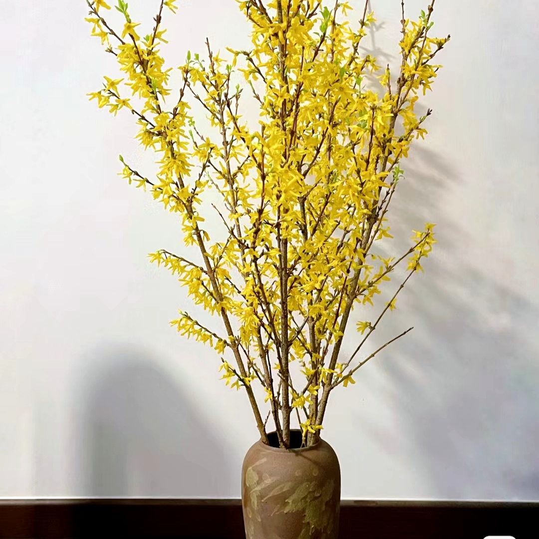 寸寸金 鲜切花材清新水培家装鲜切花束 云南鲜花绿植