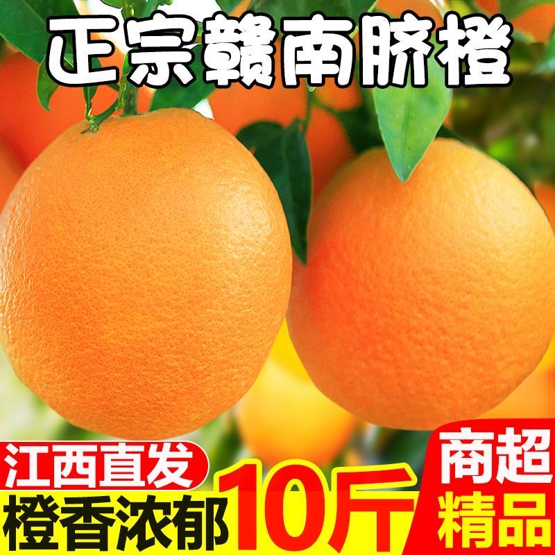 产地当季正宗脐橙新鲜橙子宝妈香甜水果非榨汁橘赣南脐橙10斤包邮