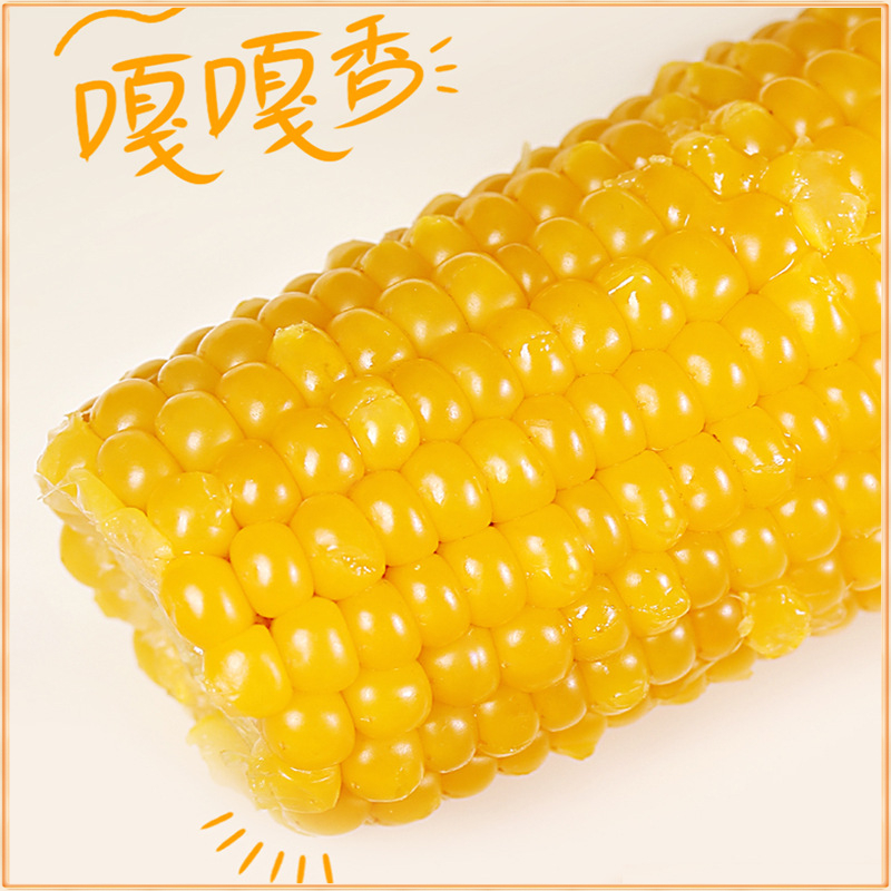 东方㼼选糯玉米优质黄糯玉米棒甜粘苞米真空装开袋即食新鲜代餐