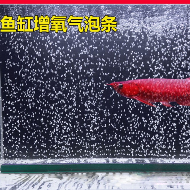 鱼缸气泡条氧气条瀑布式气泡石增氧泵气石氧气泵散气条气帘增氧条