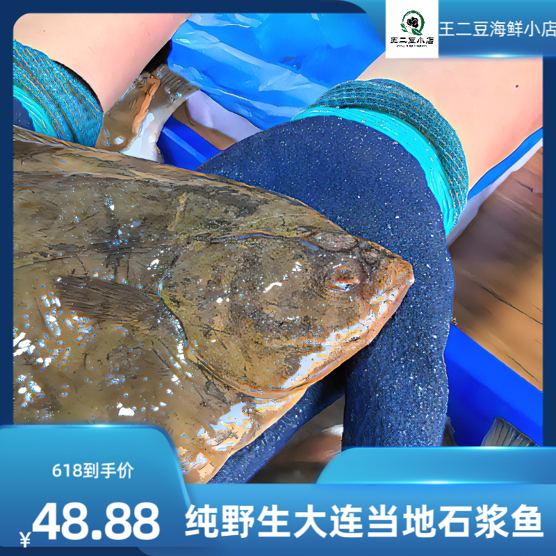 野生石浆鱼 大连野生石浆鱼 顺丰速冻发货 新鲜上岸保鲜品质食用