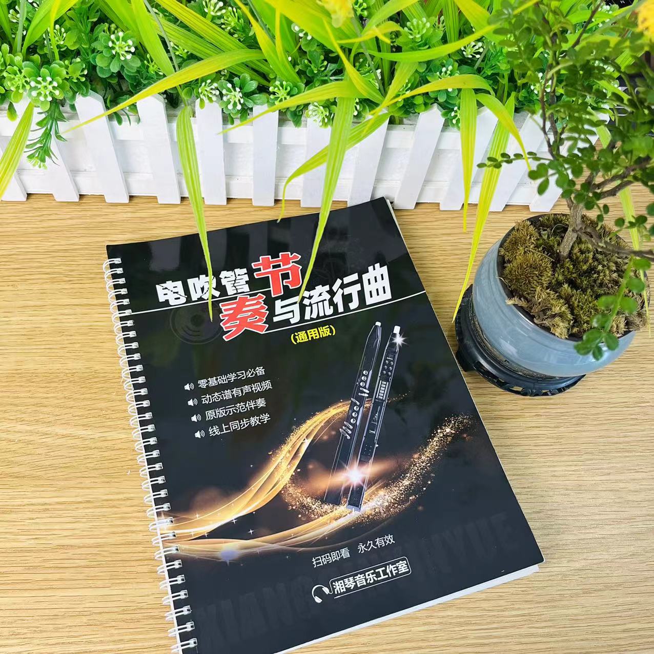 湘琴音乐电吹管节奏练习 音程练习 流行曲