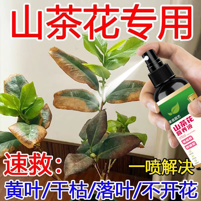 【专用】山茶花营养液专用花肥料枯枝叶子发黄黑斑掉促开花花蕾均衡