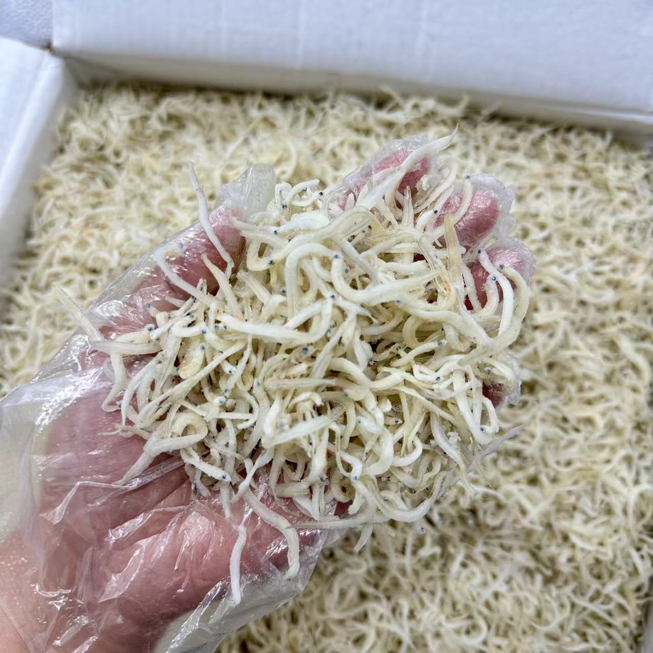 银鱼仔  无沙无骨