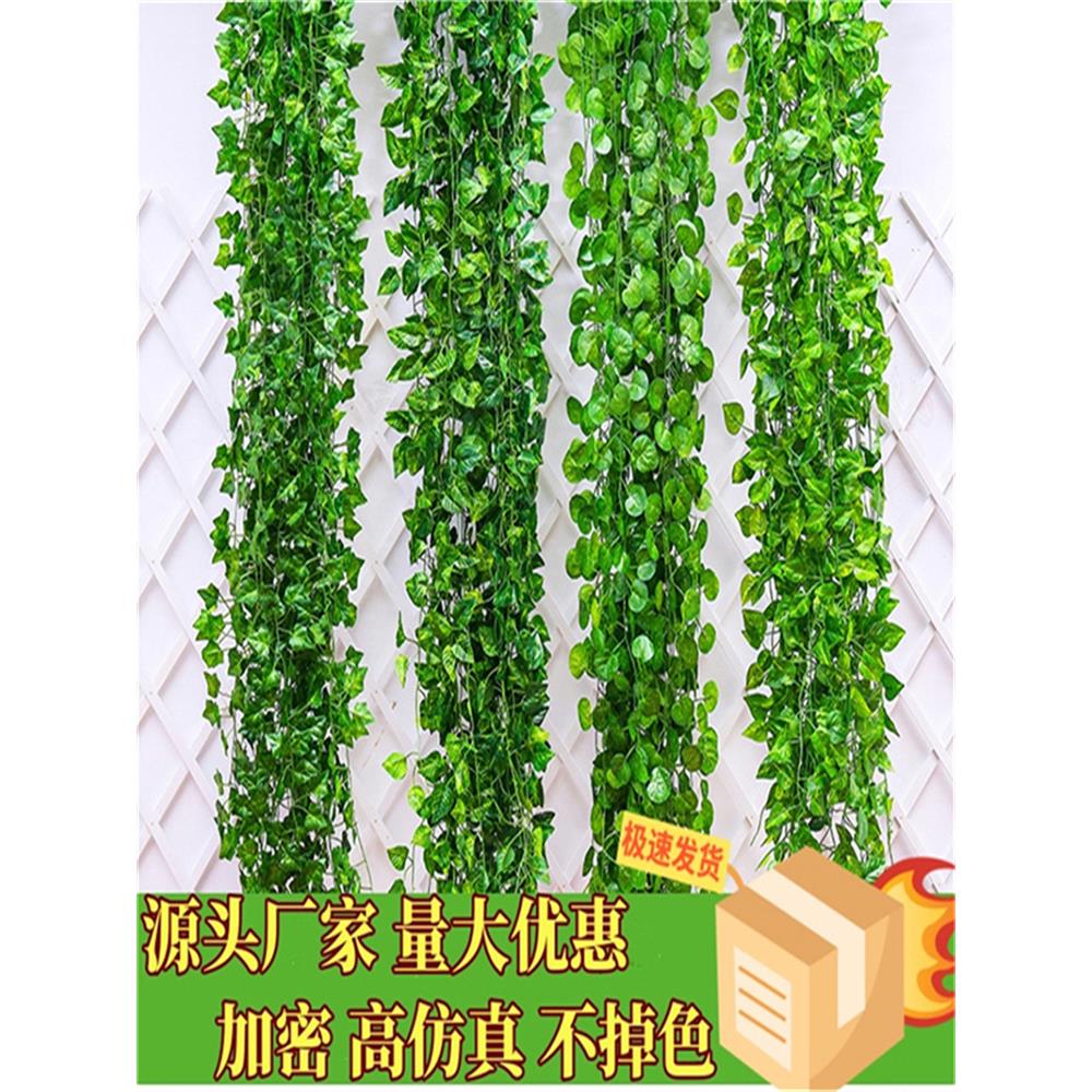 仿真绿植葡萄绿叶空调管子装饰遮挡下水管道绿萝假花藤条藤蔓塑料