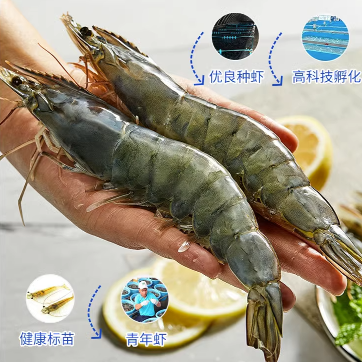 【新疆白云优鲜】泰虾（16-20）净重1.5公斤/件