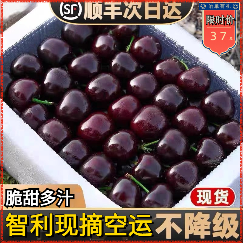 【现货】顺丰包邮智利进口车厘子桑提娜新鲜水果礼盒装1-5斤26-34mm