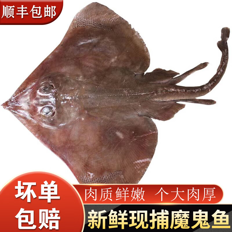 整条老板鱼魔鬼鱼新鲜鲜活冷冻海鲜瑶鱼鲽鱼劳板鱼老子鱼孔瑶1斤