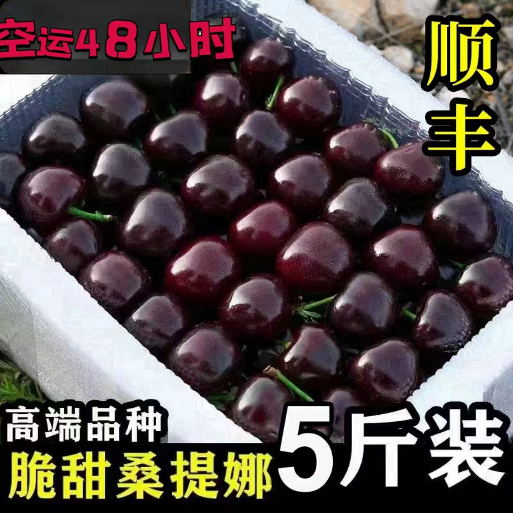 【脆甜】智利进口车厘子新鲜水果大樱桃孕妇当季应季现发3j顺丰