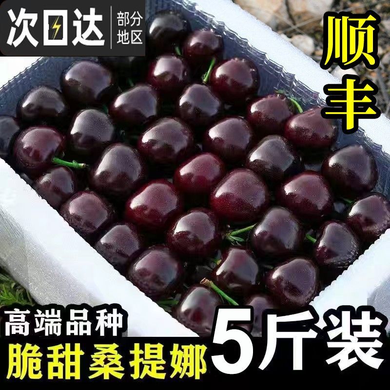 【现货顺丰】智利车厘子进口水果新鲜批发应季黑珍珠整箱JJJJ爆甜