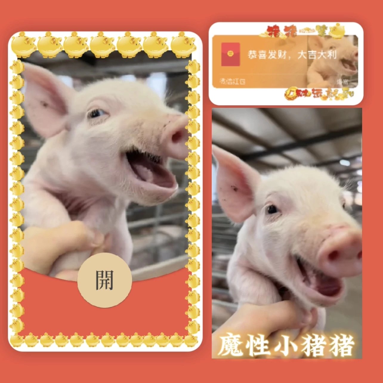 龙年封面序列号春节猪猪萌宠系列封面音乐情侣美女2024新年烟花秀