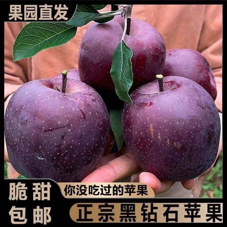 云南昭通黑卡苹果稀有黑钻苹果4.8斤5斤/9斤礼盒装天然脆甜甘肃