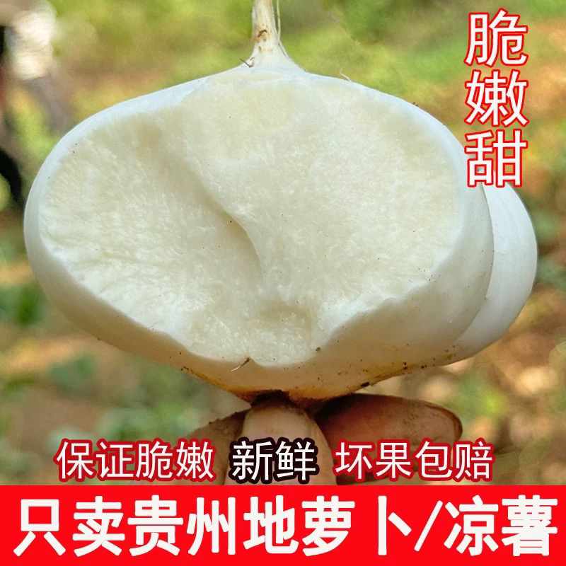 【顺丰/京东】贵州安顺地萝卜凉薯地瓜5/9斤新鲜现挖嫩美味生吃