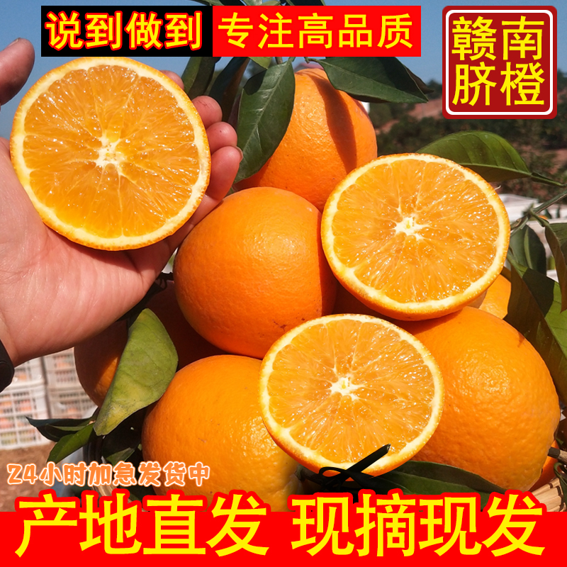 【新人开播】赣南脐橙现摘现发新鲜水果3/5/9斤装安远橙