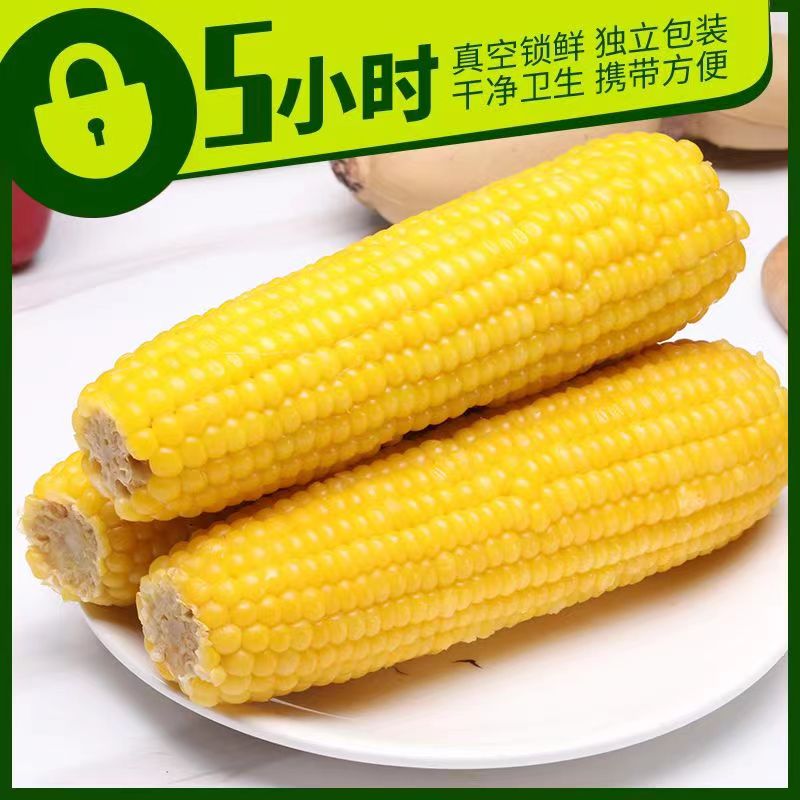 黄糯玉米营养粗粮代餐东北甜糯新鲜糯玉米粘糯苞米主食玉米粒240g