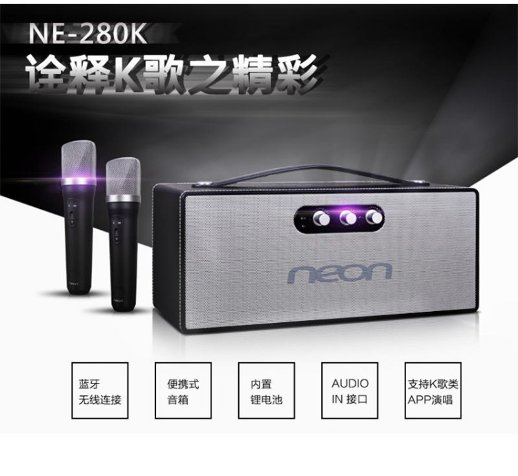 neon丽扬蓝牙多媒体稳定便携式音响 无线k歌唱歌携带人声方便培训