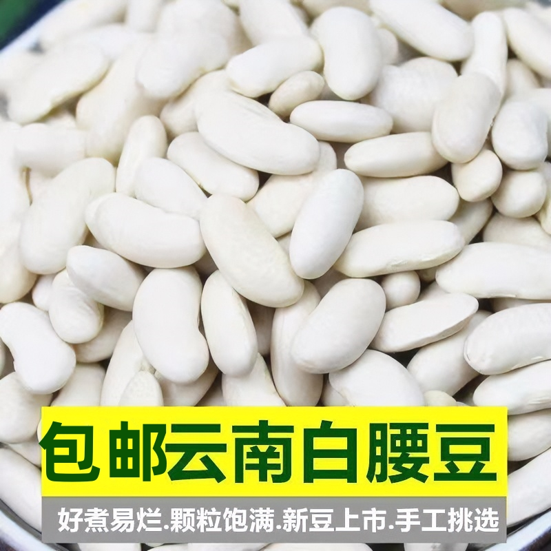 云南白腰豆白腰豆子小白腰豆白腰豆汤白腰豆批发腰豆腰花豆白芸豆