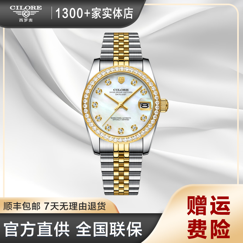 CL2036日志系列女士轻奢镶钻时尚女士机械腕表（凯)