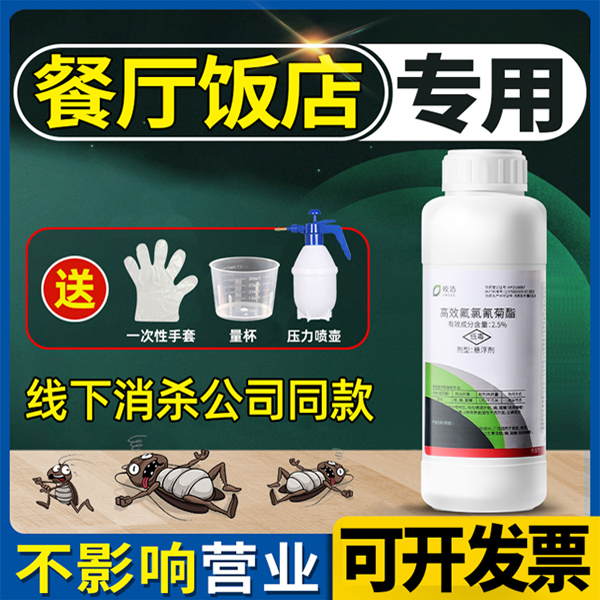 蟑螂药餐厅专用饭店商用蟑螂消杀神器非一窝全窝端家用非无毒绝杀