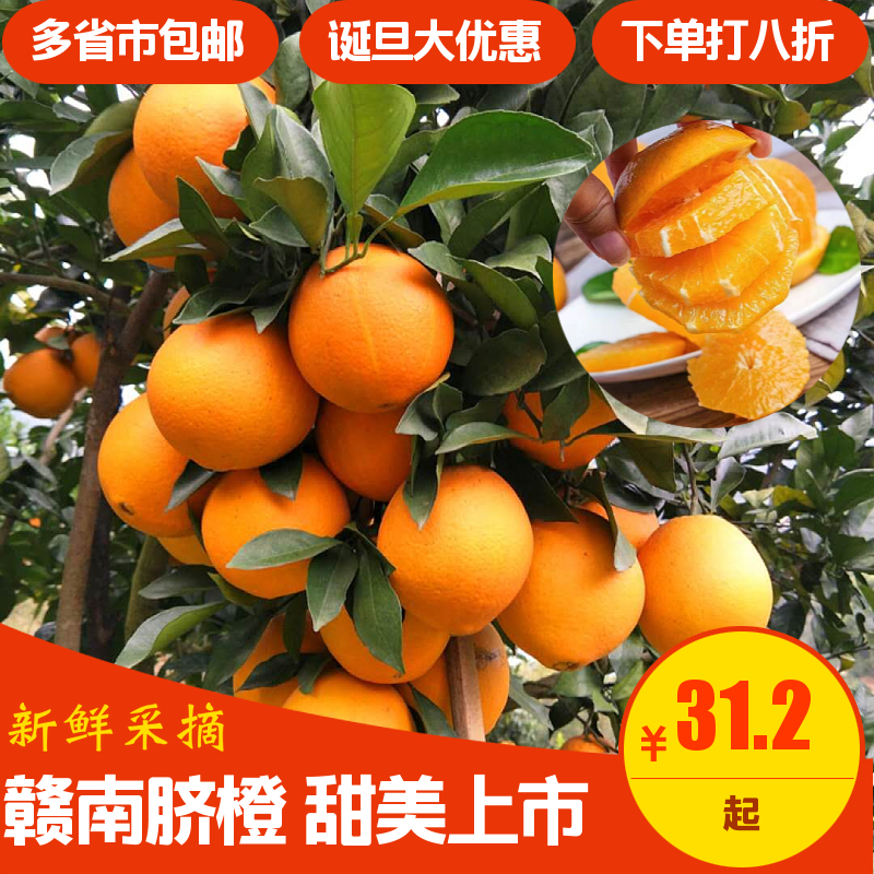 赣南脐橙精果5斤装（含箱） 自然成熟水分足口感佳发货及时橙橙