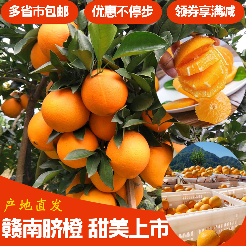 主播热推赣南脐橙5-20斤 自然成熟水分足口感佳发货及时橙橙