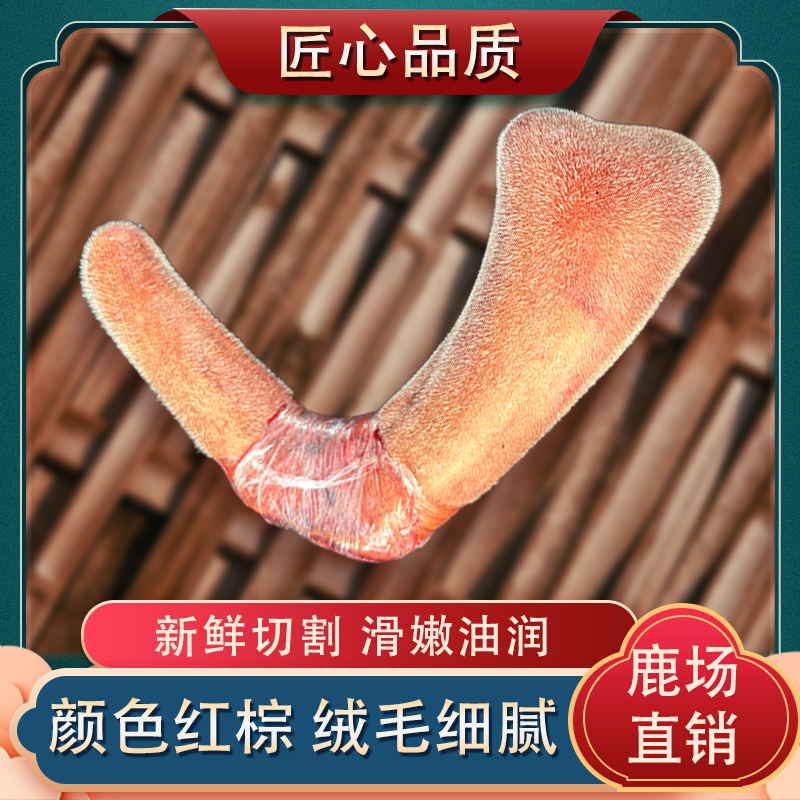 洋 8东北特产 新鲜鹿茸 直播间选购 快递包邮