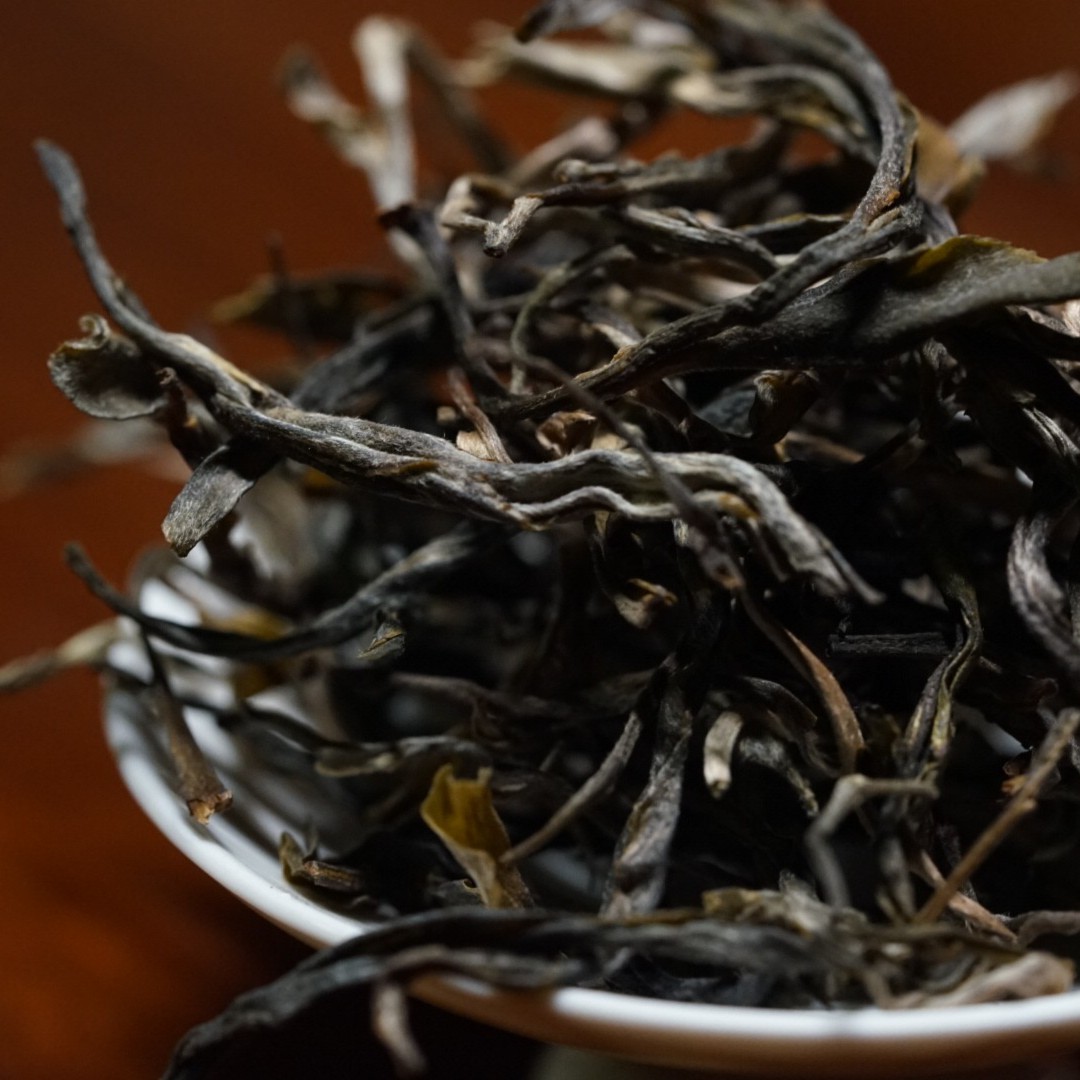 璞润元古茶【早早开播福利】普洱茶散茶8g一泡